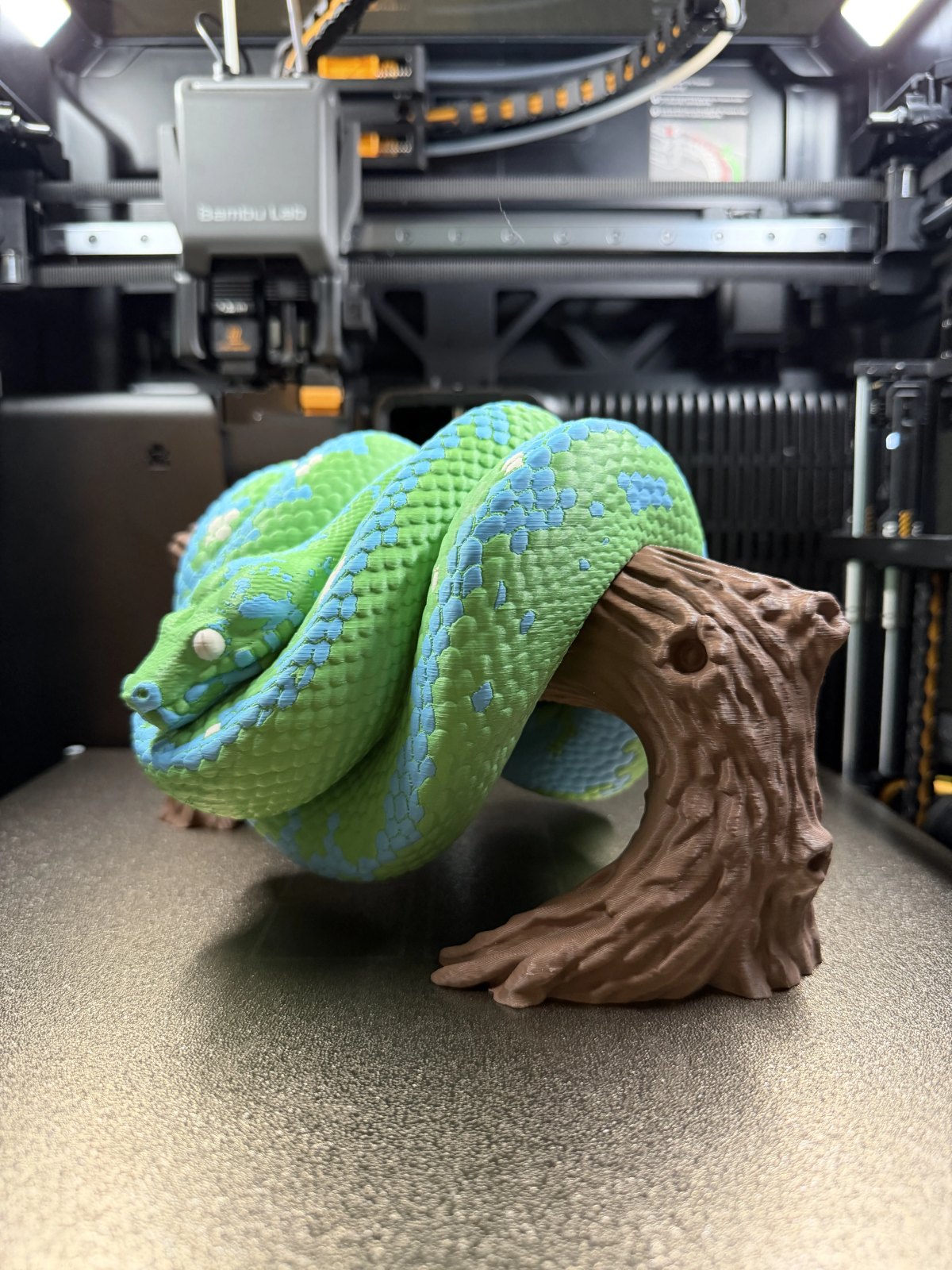 Green Tree Python