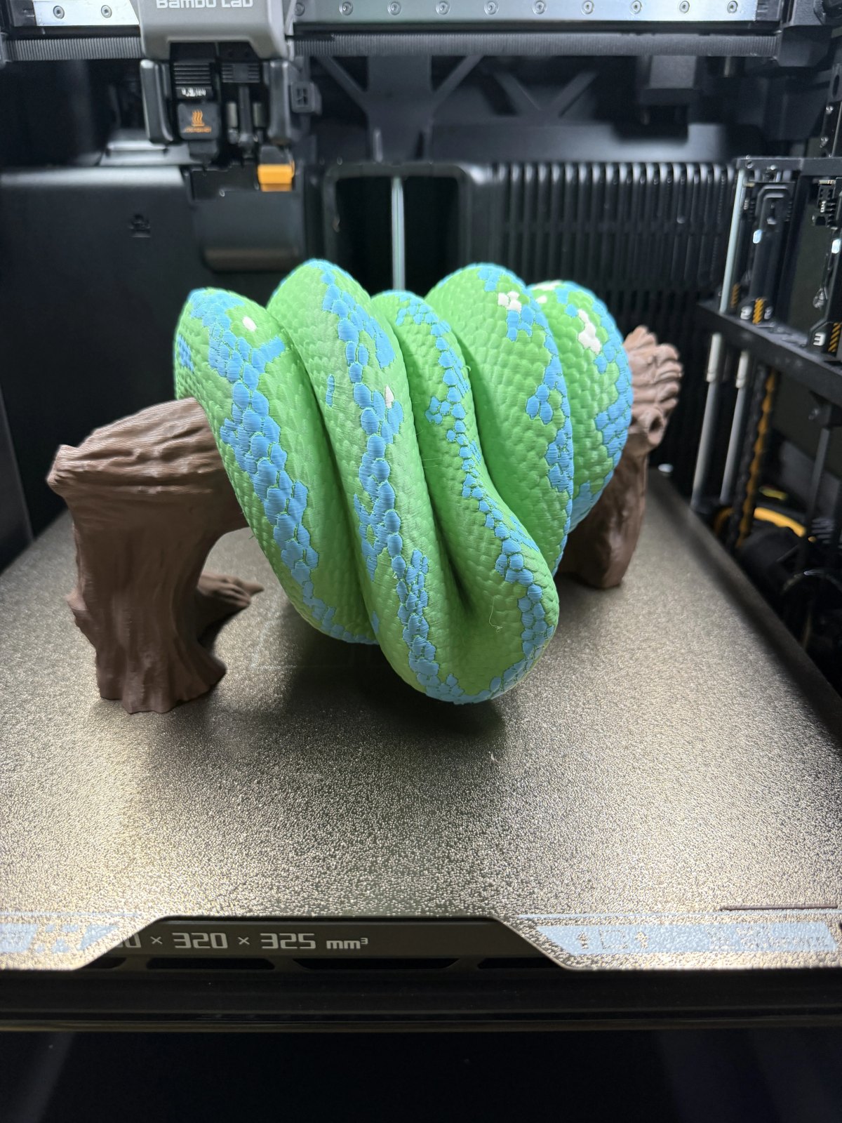 Green Tree Python