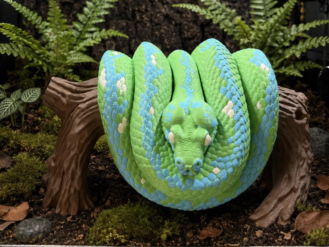 Green Tree Python