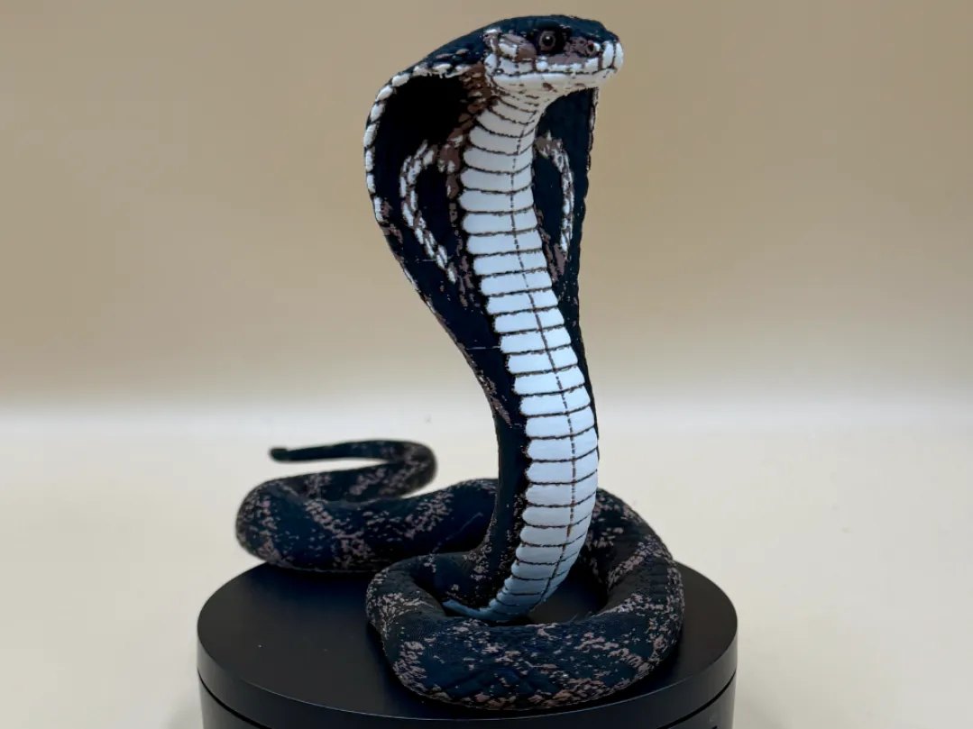 Striking Cobra