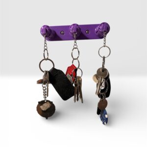 Stylish Key Holder